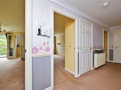Picture 7